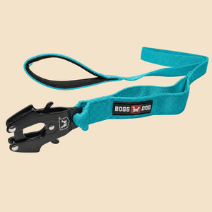 ProSeries™  Leash