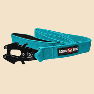 ProSeries™  Leash