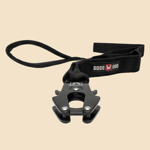 ProSeries™  Leash