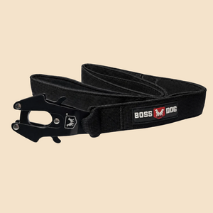 ProSeries™  Leash