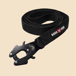 ProSeries™  Leash