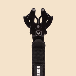 ProSeries™  Leash