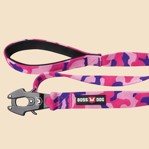 ProSeries™  Leash