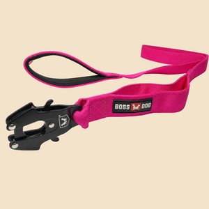 ProSeries™  Leash