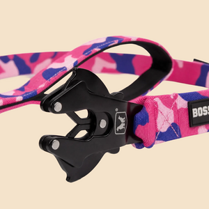 ProSeries™  Leash