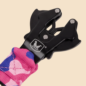 ProSeries™  Leash