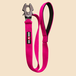 ProSeries™  Leash