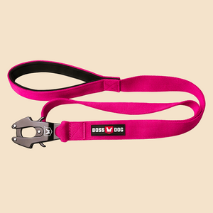 ProSeries™  Leash