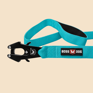 ProSeries™  Leash