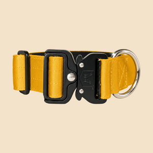 ProSeries™  Collar