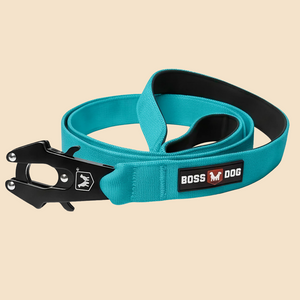 ProSeries™  Leash
