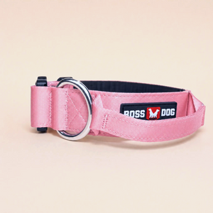 ProSeries™  Collar