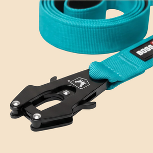 ProSeries™  Leash