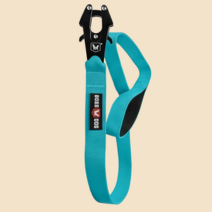 ProSeries™  Leash