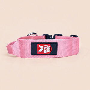 ProSeries™  Collar