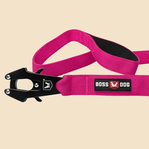 ProSeries™  Leash