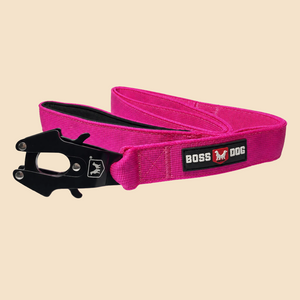 ProSeries™  Leash