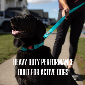 ProSeries™  Collar