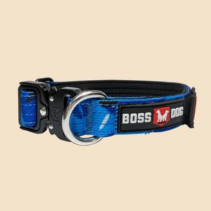 ProSeries™  Collar
