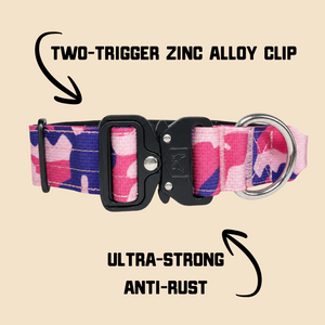 ProSeries™  Collar