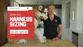 Unbreakable Harness